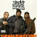 Naughty By Nature, 19 Naughty III