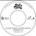 Fleur Earth Experiment, Zeitleiden