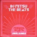 DJ MItsu The Beats, Promise In Love