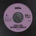 Chiddy Bang, Opposite Of Adults EP