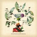 Jane Weaver, The Fallen By Watch Bird