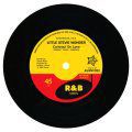 Little Stevie Wonder / Bob Kayli, Contract On Love