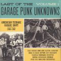 V/A, Last Of The Garage Punk Unknowns Volume 1