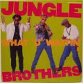 Jungle Brothers, What 'U' Waitin' For 