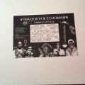 4Trackboy & Echomann, Timing & Effekte