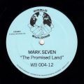 Mark Seven, The Promised Land