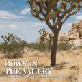 V/A, Down In The Valley Vol. 1