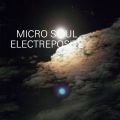 Micro Soul, Electreposité 