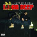 Mobb Deep, Juvenile Hell