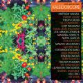 V/A, Kaleidoscope (New Spirits Known & Unknown)