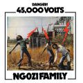Ngozi Family, 45,000 Volts