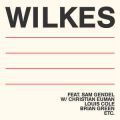 Sam Wilkes, Wilkes