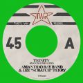 Amantido Bay Band, Trinity ft. Lee Scratch Perry