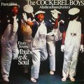 The Cockerel Boys From Africa Abafana Baseqhudeni, From Soweto - Mbube Jive & Soul