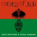 Plunky & Oneness Of Juju, Bush Brothers & Space Rangers