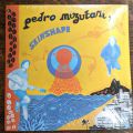 Pedro Mizutani, Skinshape, Pensando Baixo