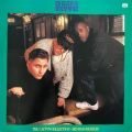 3rd Bass, The Cactus Collection - 3rd Bass Remixes