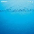 Caribou, Suddenly