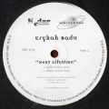 Erykah Badu, Next Lifetime