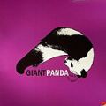 Giant Panda, With It