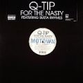 Q-Tip, For The Nasty