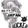 Ricci Rucker, Beats For Japan