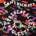 A Tribe Called Quest, Can I Kick It?