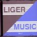 V/A, Liger Music Vol. 2 (Mixed by Tom Noble & Whitemare)