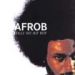Afrob, Rolle Mit Hip Hop