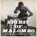 V/A, Next Stop Soweto Spirit Of Malombo 66-84