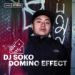 DJ Soko, Domino Effect 