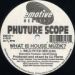 Phuture Scope, What Is House Muzik?