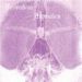 V/A, Antipodean Anomalies
