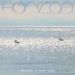 Resavoir & Matt Gold, Horizon