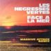 Les Negresses Vertes, Face A La Mer (Massive Attack Remix)