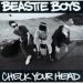 Beastie Boys, Check Your Head