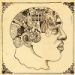 The Roots, Phrenology